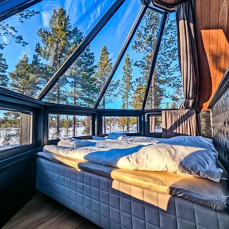 Igloo 2 In Northern Lights By Dg Lomailu