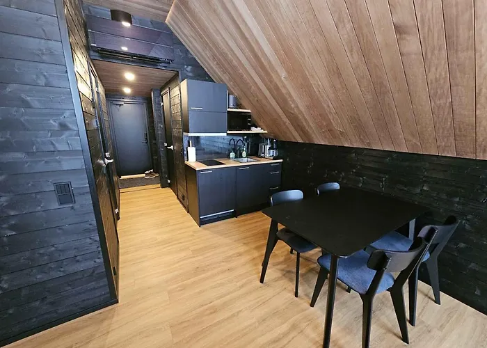 Igloo 2 In Northern Lights By Dg Lomailu *